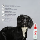 CHI For Dogs Deodorizing Spray, , large image number null